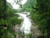 Thusharagiri Waterfalls